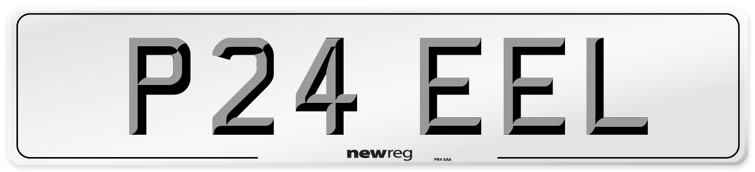P24 EEL Front Number Plate