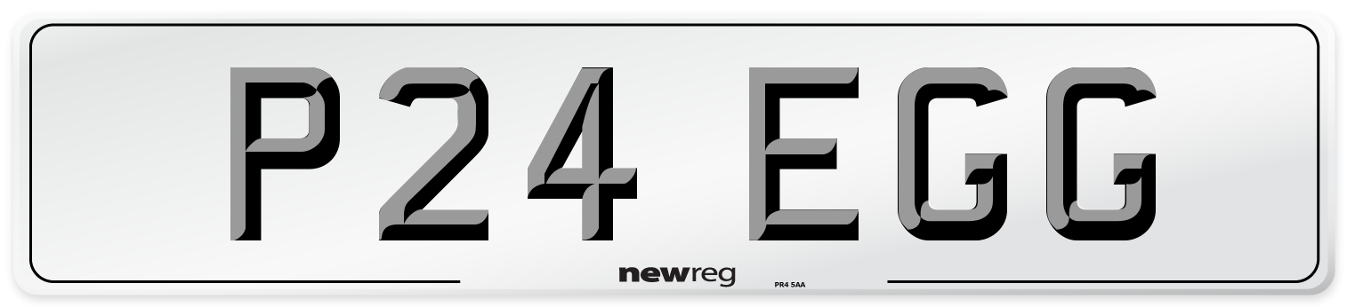 P24 EGG Front Number Plate