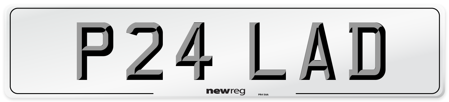 P24 LAD Front Number Plate