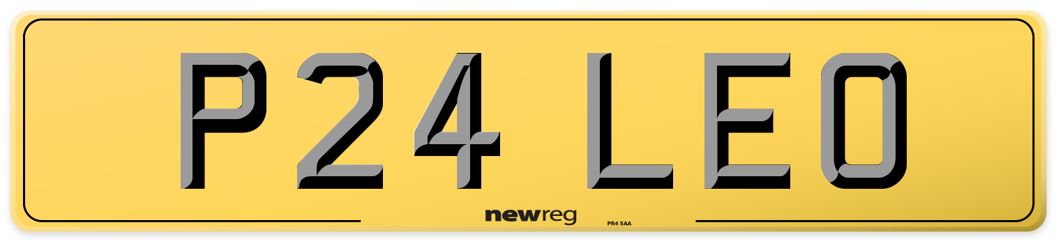 P24 LEO Rear Number Plate