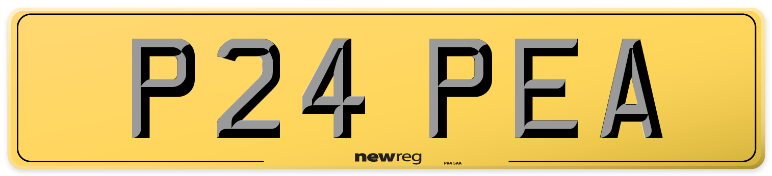 P24 PEA Rear Number Plate