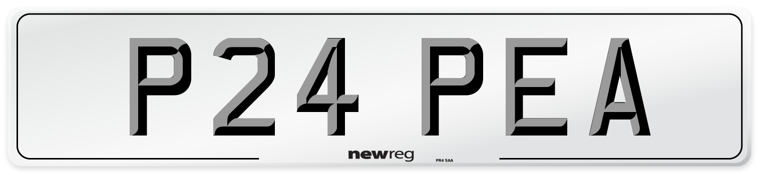 P24 PEA Front Number Plate