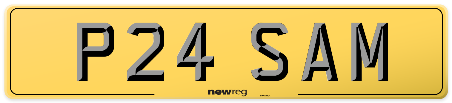 P24 SAM Rear Number Plate