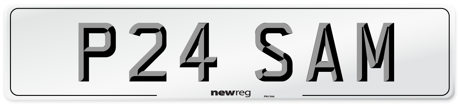 P24 SAM Front Number Plate