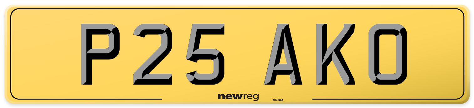 P25 AKO Rear Number Plate