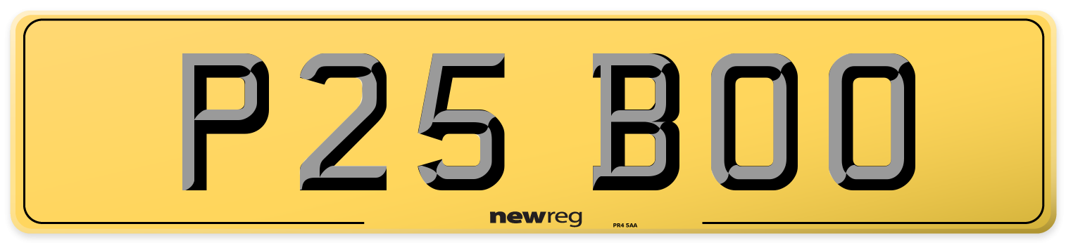P25 BOO Rear Number Plate