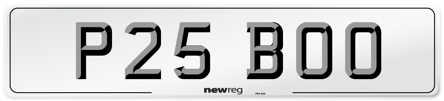 P25 BOO Front Number Plate