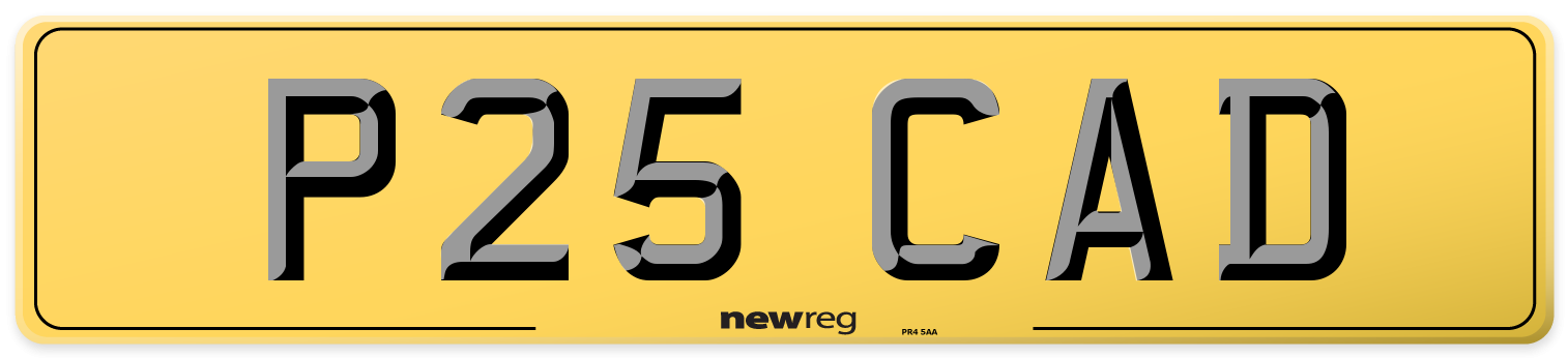 P25 CAD Rear Number Plate