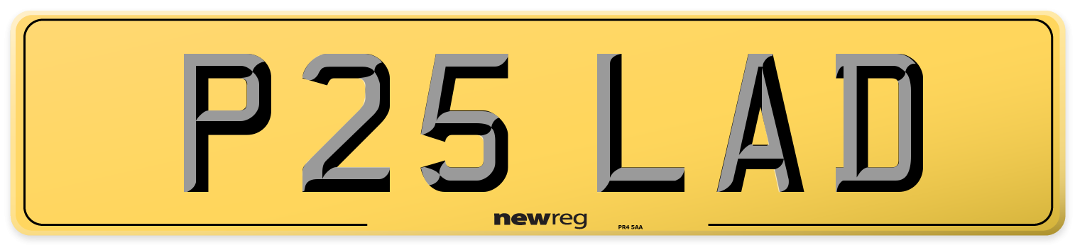 P25 LAD Rear Number Plate