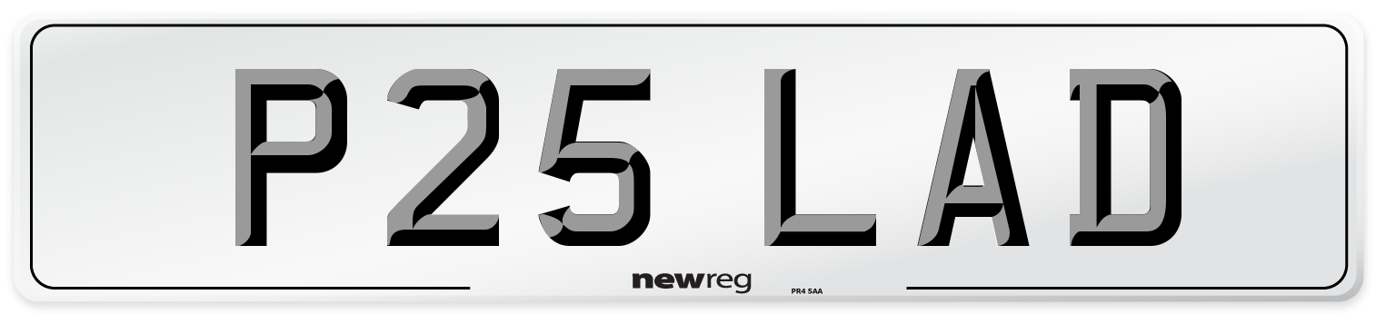 P25 LAD Front Number Plate