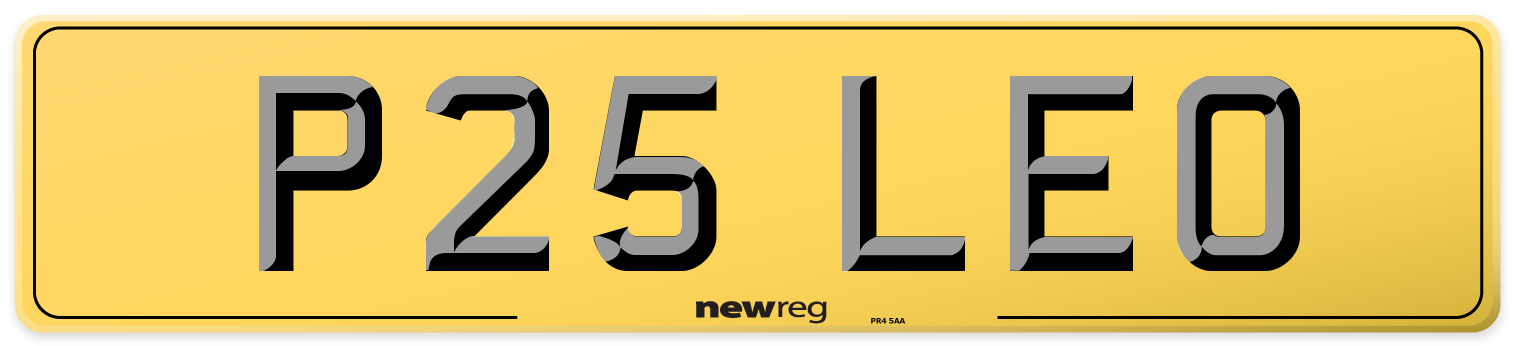 P25 LEO Rear Number Plate