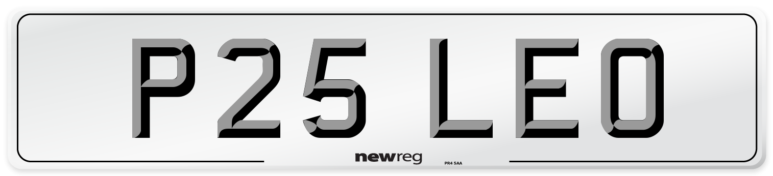 P25 LEO Front Number Plate