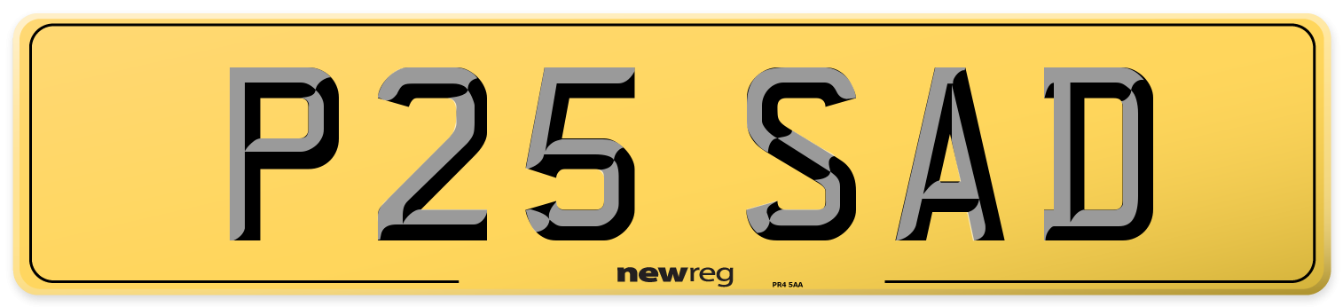 P25 SAD Rear Number Plate