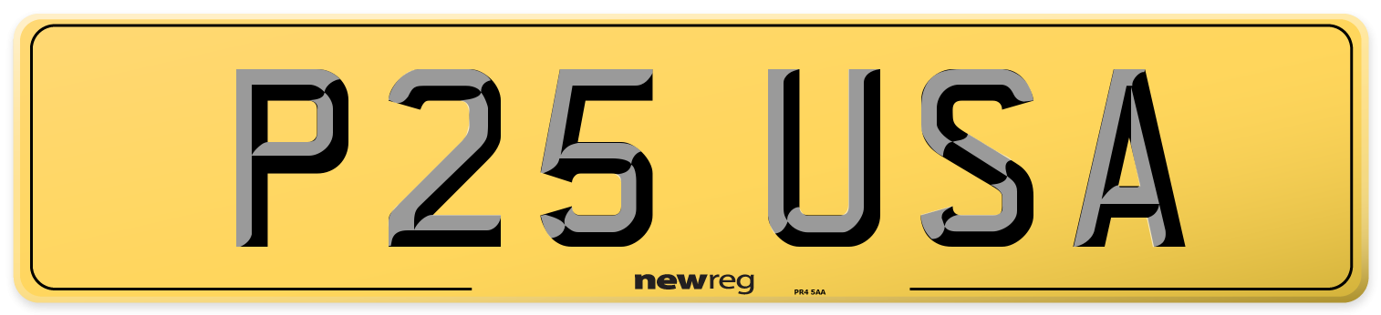 P25 USA Rear Number Plate