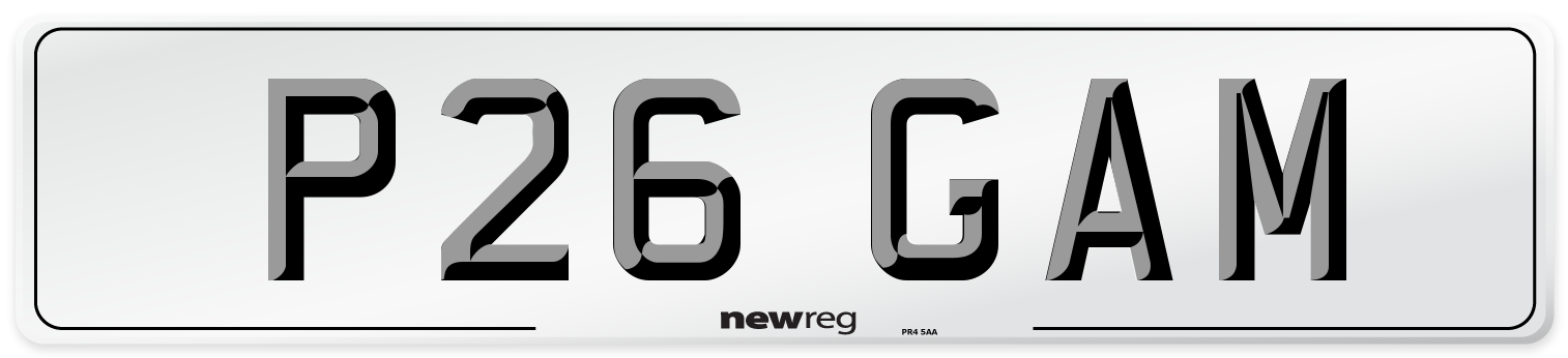 P26 GAM Front Number Plate