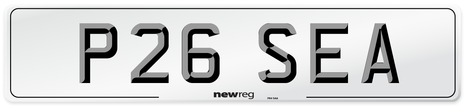 P26 SEA Front Number Plate