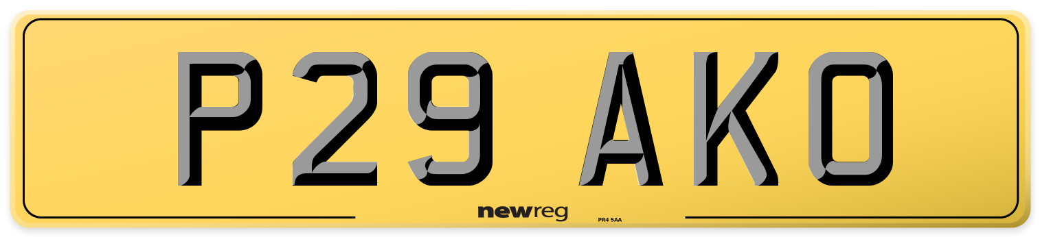 P29 AKO Rear Number Plate