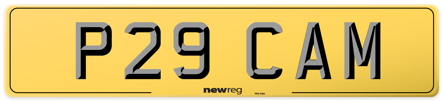 P29 CAM Rear Number Plate