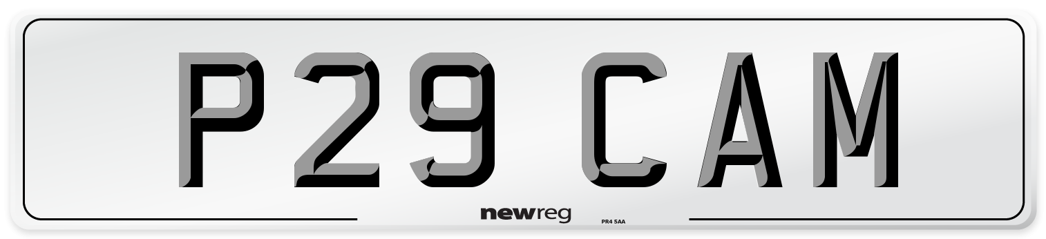 P29 CAM Front Number Plate