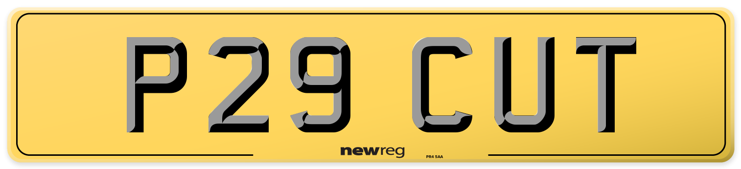 P29 CUT Rear Number Plate