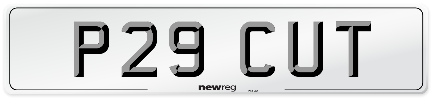 P29 CUT Front Number Plate