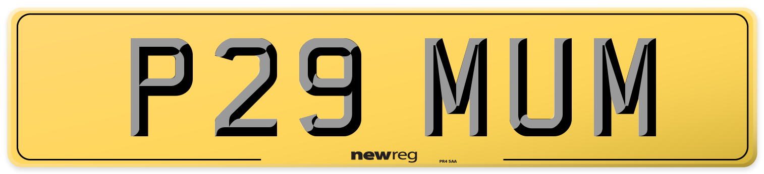 P29 MUM Rear Number Plate
