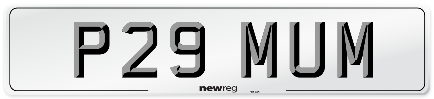 P29 MUM Front Number Plate