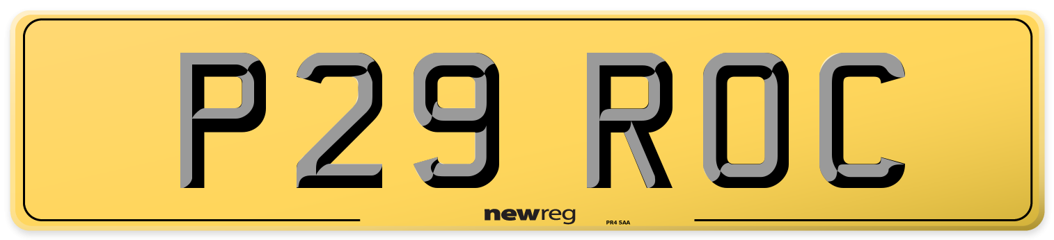 P29 ROC Rear Number Plate