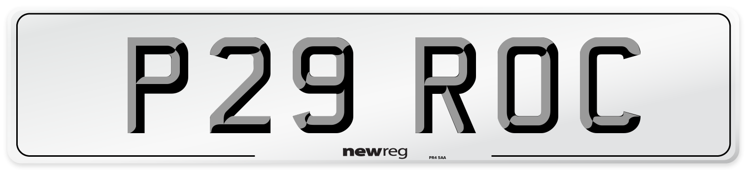 P29 ROC Front Number Plate
