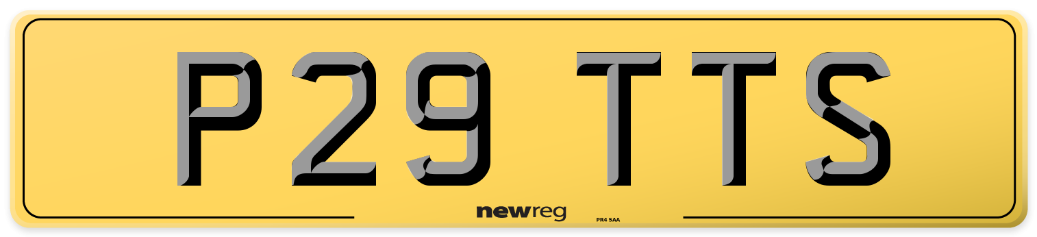 P29 TTS Rear Number Plate