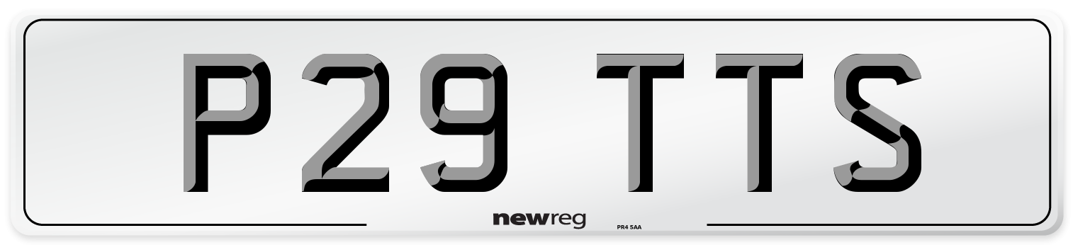 P29 TTS Front Number Plate