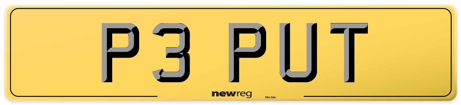 P3 PUT Rear Number Plate