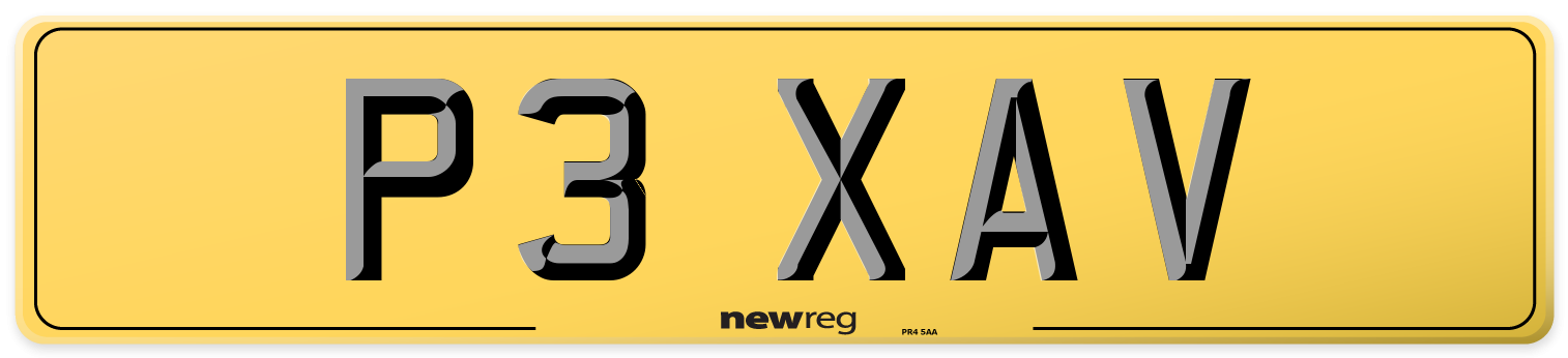 P3 XAV Rear Number Plate