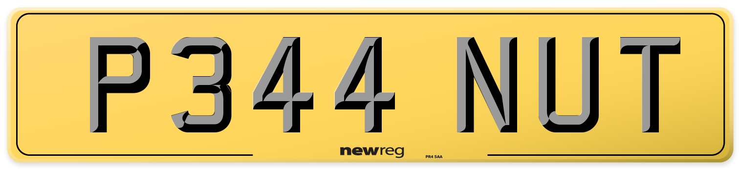 P344 NUT Rear Number Plate