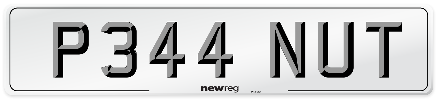 P344 NUT Front Number Plate