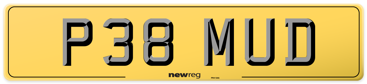 P38 MUD Rear Number Plate