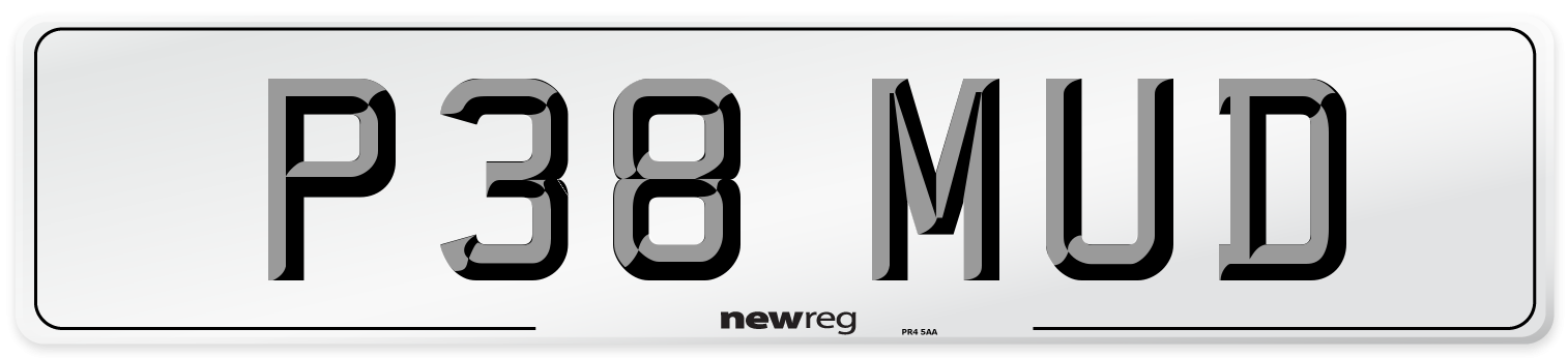 P38 MUD Front Number Plate