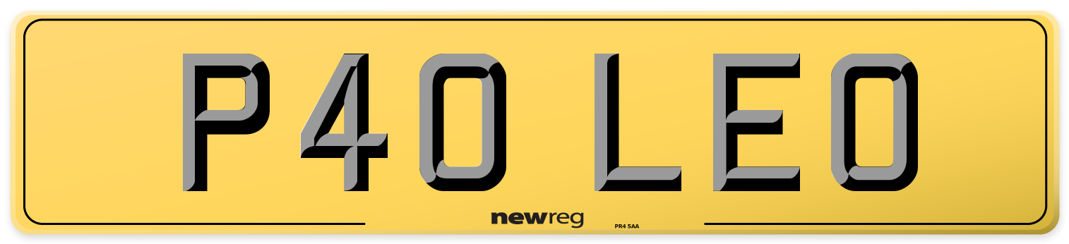 P40 LEO Rear Number Plate