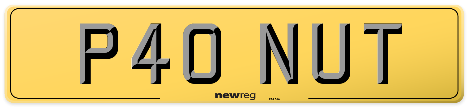 P40 NUT Rear Number Plate