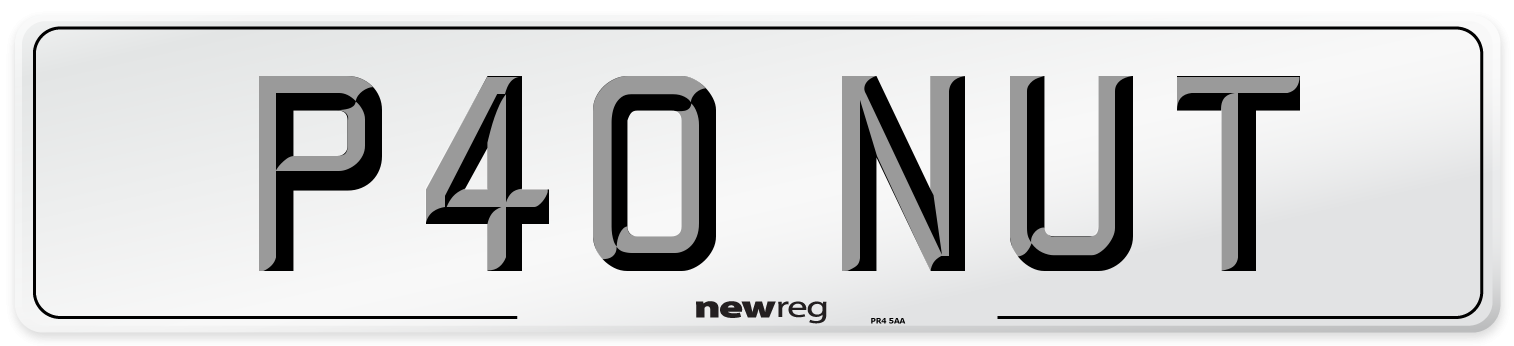 P40 NUT Front Number Plate