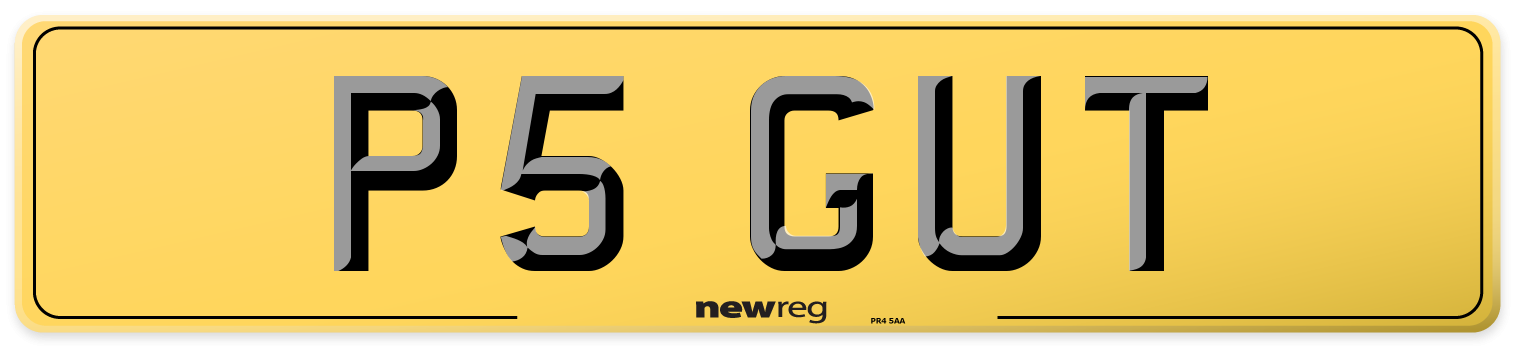 P5 GUT Rear Number Plate