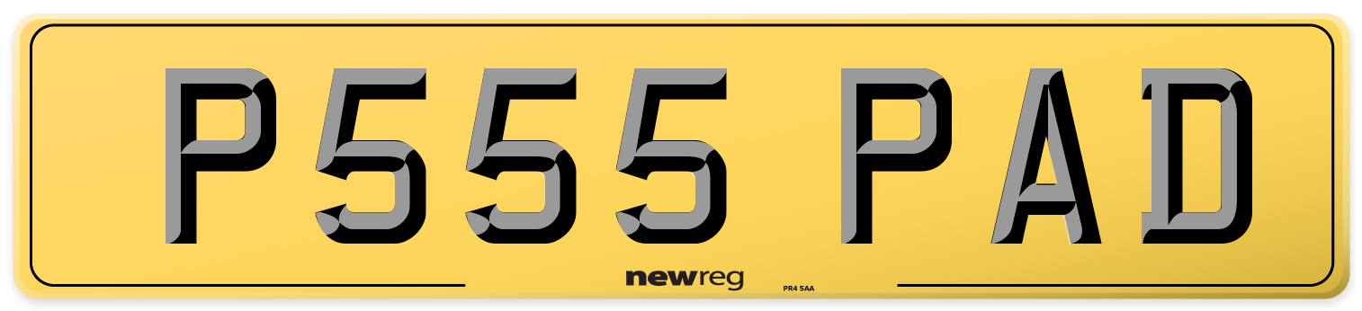 P555 PAD Rear Number Plate