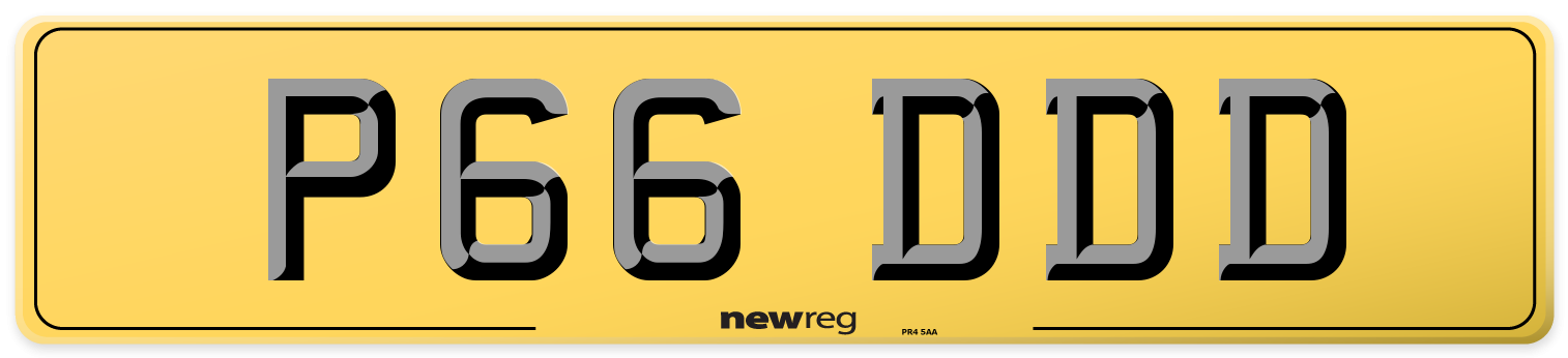 P66 DDD Rear Number Plate