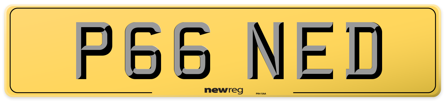 P66 NED Rear Number Plate
