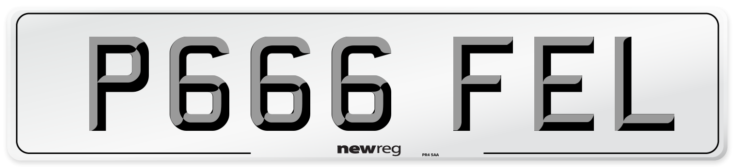 P666 FEL Front Number Plate