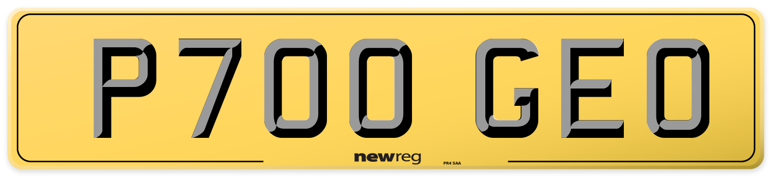 P700 GEO Rear Number Plate