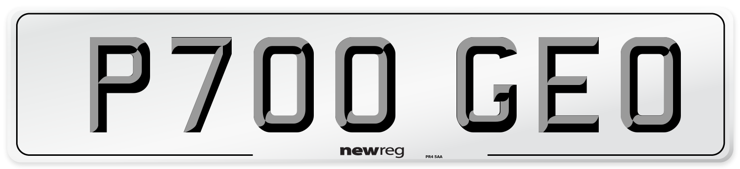 P700 GEO Front Number Plate