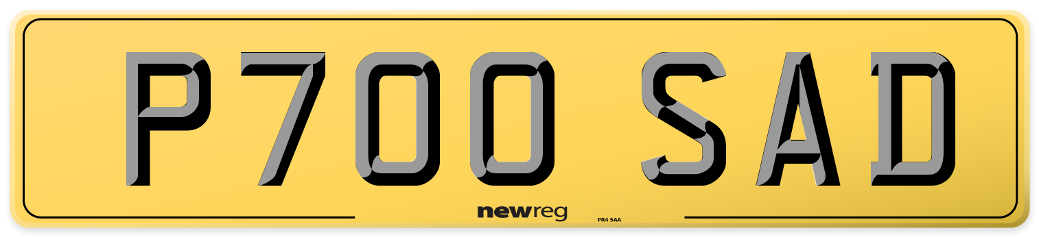 P700 SAD Rear Number Plate