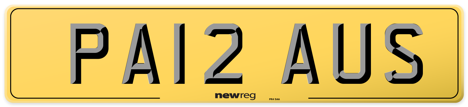 PA12 AUS Rear Number Plate