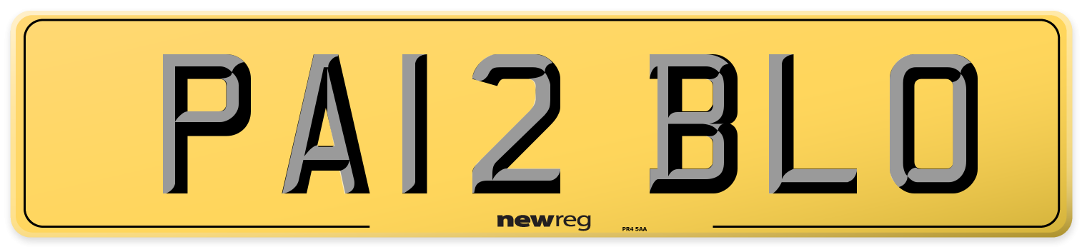 PA12 BLO Rear Number Plate